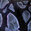 #1288 Winter Trees Oil on Canvas