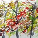 #1358, Watercolor sketch, WillardGobyArt