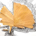 Ginko leaf, Willard Art