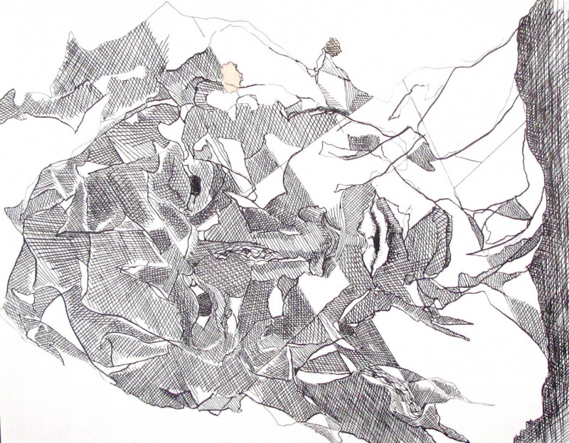 #1062 Pen & Ink drawing