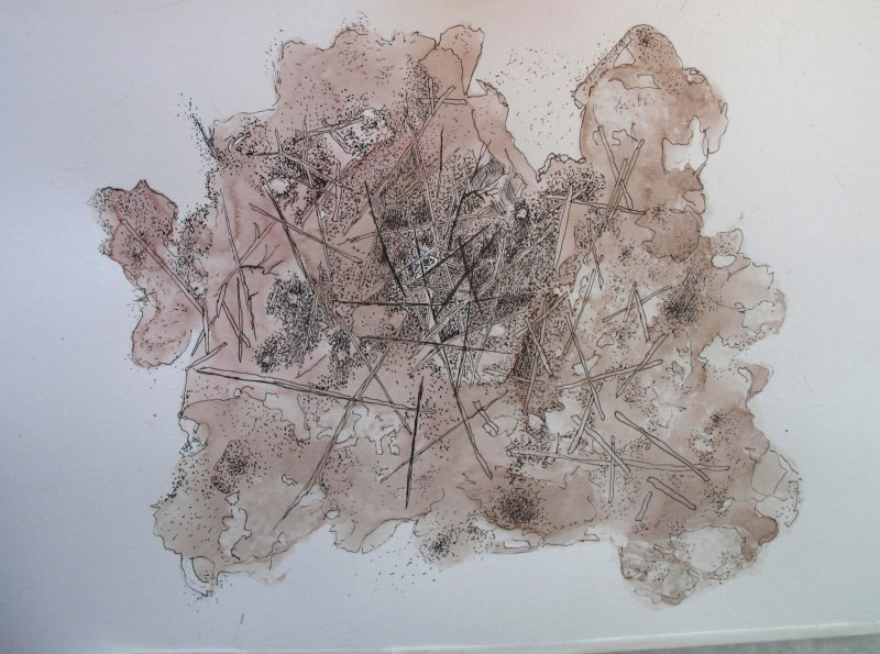 #1188 Pen & Ink, watercolor Willard Art