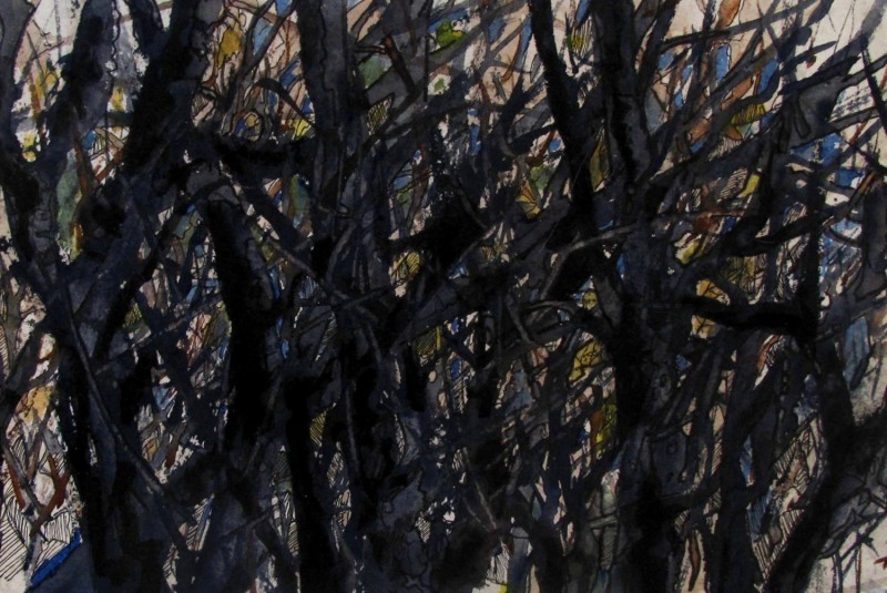#1286 Forest of Impenatrable Sleep