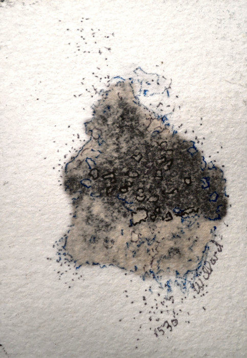 #1532,Willard Art,,Watercolor,miniature