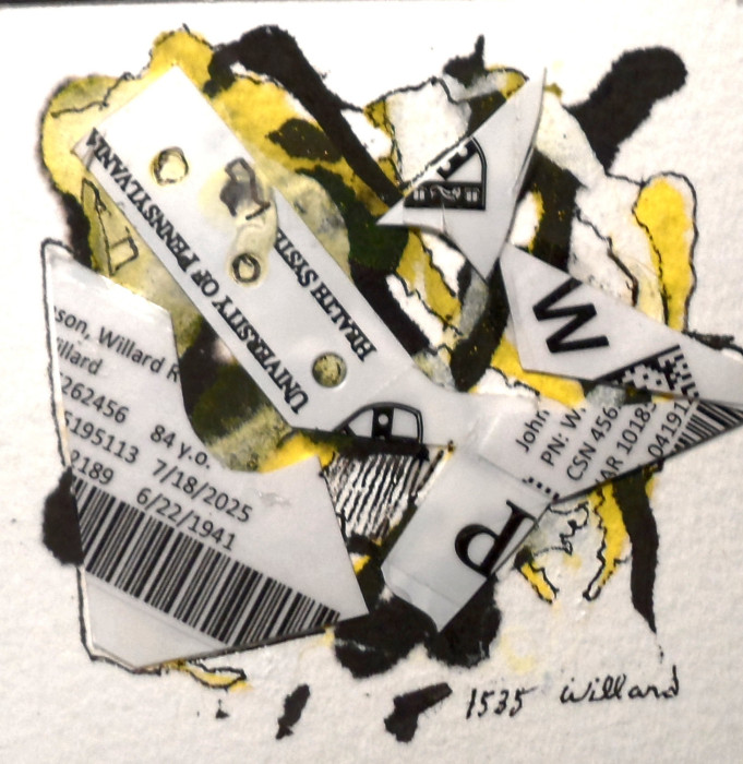 #1535, Collage, Miniature, ER Visit, Willard Art